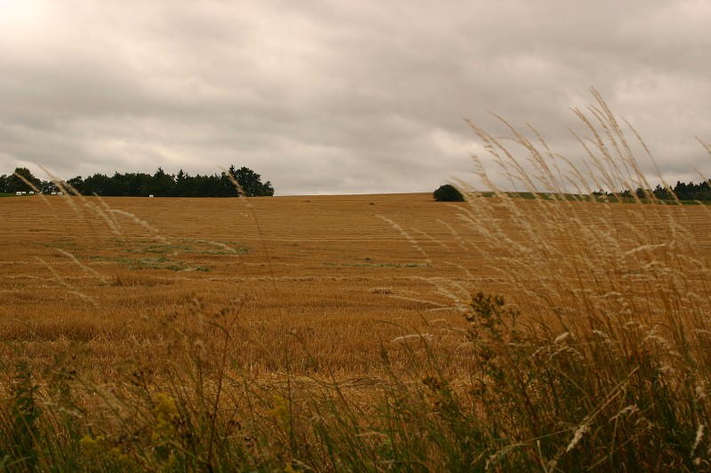 esk ternberk - 6.7.2007