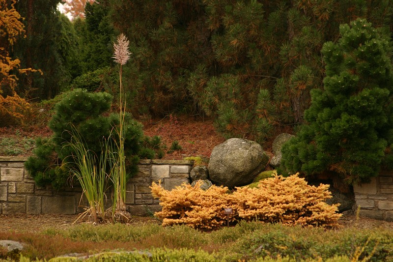 Dendrologická zahrada - 27.10.2007