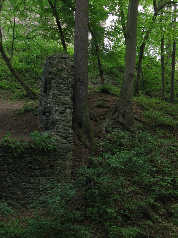 Kolo Velké Popovice - Pyšely - Sázava - Štiřín - 9.5.2008