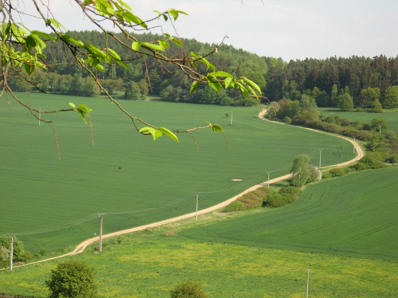 Kolo Velké Popovice - Pyšely - Sázava - Štiřín - 9.5.2008