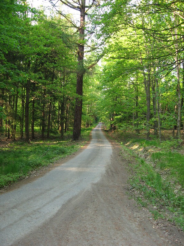 Kolo Velké Popovice - Pyšely - Sázava - Štiřín - 9.5.2008