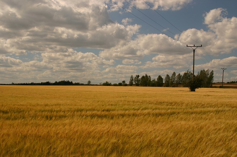 Zbiroh a Krakovec - 7.7.2007