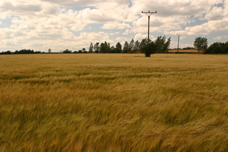 Zbiroh a Krakovec - 7.7.2007