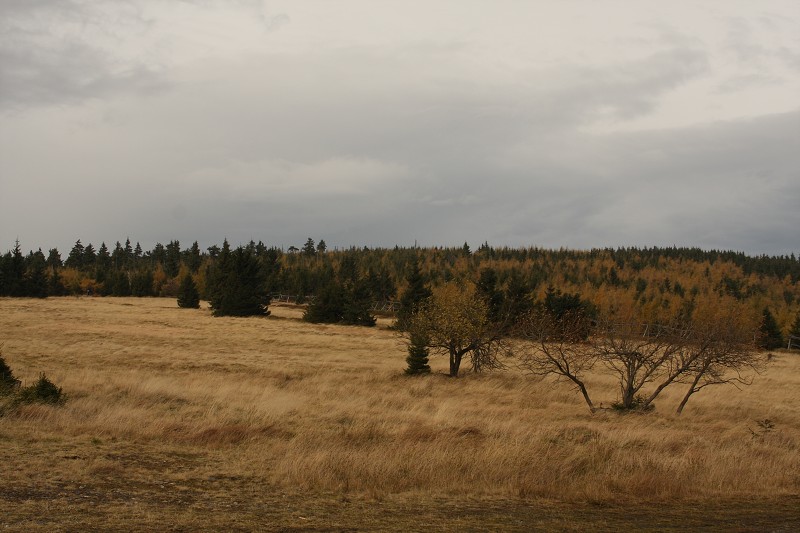 Přechod Jizerských hor - 25.10. - 28.10.2008