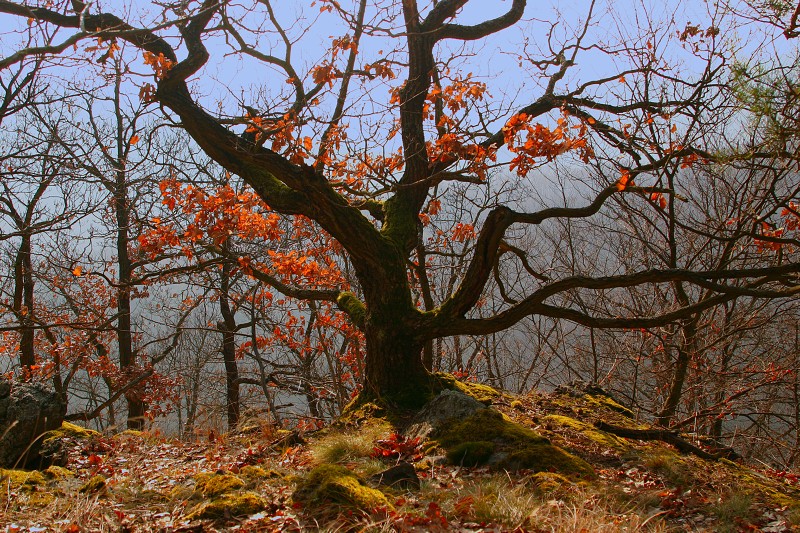 Vyhlídka Máj nad Vltavou - 10.2.2008