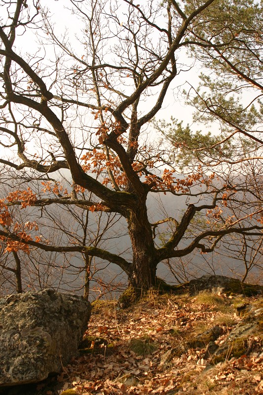 Vyhlídka Máj nad Vltavou - 10.2.2008